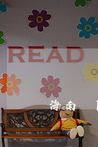 海南 限购